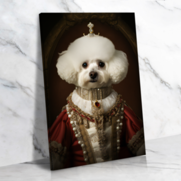 Shih Tzu Dog