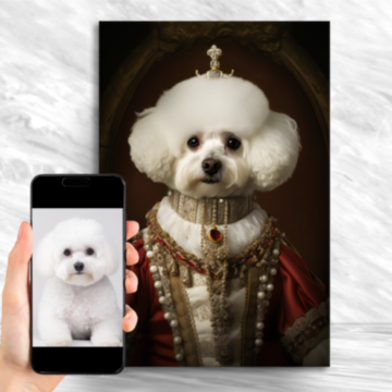 Shih Tzu Dog